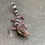 Thumbnail: Vietnamese Cave Gecko (ID: 25GG1)