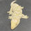 Thumbnail: Moro Leachianus Gecko (Female ID: 23EV2F)