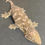 Thumbnail: Nuu Ana Leachianus Gecko (Female ID: 23GW1F)