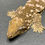Thumbnail: Moro Leachianus Gecko (Female ID: 23JF1F)