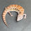 Thumbnail: Northern Blue Tongue Skink (ID: 25AF6)