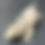 Thumbnail: Nuu Ana Leachianus Gecko (ID: 24JE2)