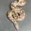 Thumbnail: Rough-scaled Sand Boa (Male- ID: 23DJ5M)