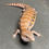 Thumbnail: Northern Blue Tongue Skink (ID: 25AM9)