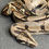 Thumbnail: Peruvian long-tail boa (B. c. longicauda - Female ID: 25ES3F)