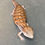 Thumbnail: Northern Blue Tongue Skink (ID: 25AE2)