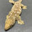 Thumbnail: Nuu Ana Leachianus Gecko (ID: 23G2F)