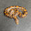 Thumbnail: Kenyan Sand Boa (Female - ID: 24IK13F)