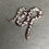 Thumbnail: Anery Kenyan Sand Boa (Male - ID: 24IT5M)
