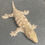 Thumbnail: Nuu Ana Leachianus Gecko (ID: 24JS1F)