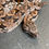 Thumbnail: Dumeril's Boa (Male ID: 24IN8M)