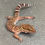Thumbnail: Bawangling Cave Gecko (Male - ID: 24IH1M)