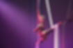 Spectacle acrobatique Performances aériennes Compagnie d'acrobates Artistes acrobatiques Numéros de voltige Acrobaties impressionnantes Show d'équilibre Spectacle de cirque Numéros de trapèze Prestations acrobatiques Cascadeurs professionnels Acrobaties sensationnelles Équilibristes talentueux Figures acrobatiques Performance de haute voltige