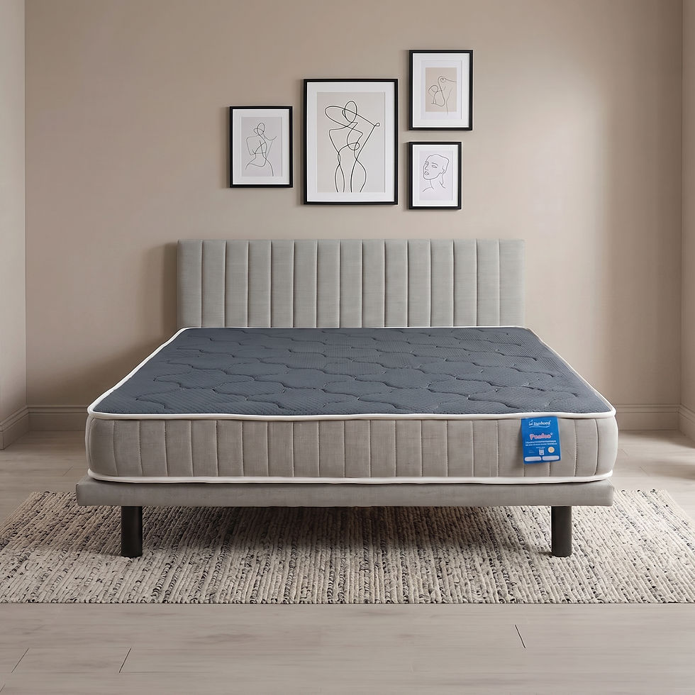 Light - Item image 1.jpg