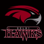 1436548064_delhi_hawks.gif