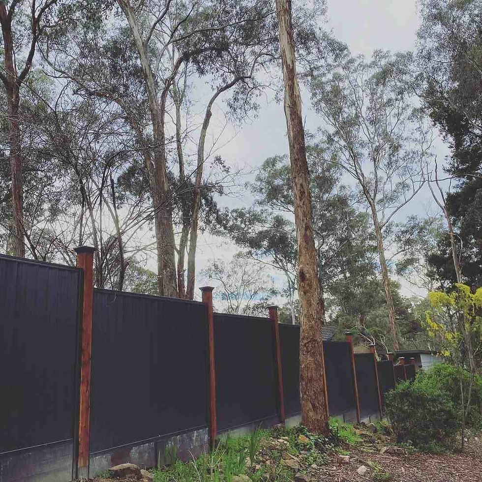 Timber vs Colorbond Fencing