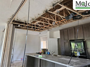 The Kitchen Mold Conundrum: When to Test and What to Do