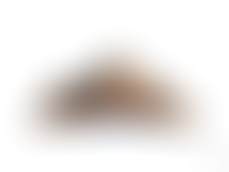 Crafting Your Identity: A Comprehensive Look at Logo Design in Nevada