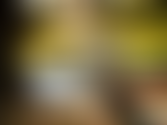 Palmetto State of Mind: Finding Holistic Health in Columbia