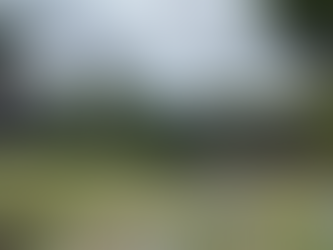 Colorbond Fence Options 101