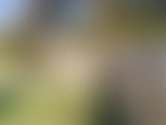 A – Z Guide to Eco-Friendly Fencing Options