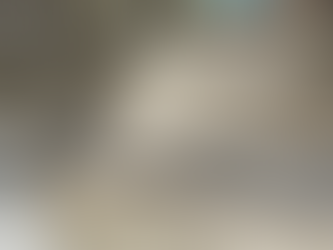 7 Things You Need to Know Before Hiring a Fencing Contractor in Victoria