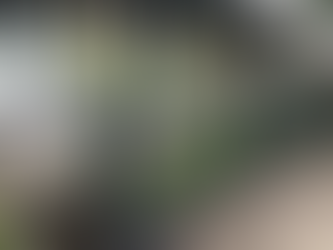 Everything You Need to Know About Wrought Iron Gates