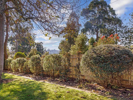 How to Design a Gorgeous Garden Fence Without Ruining Your View