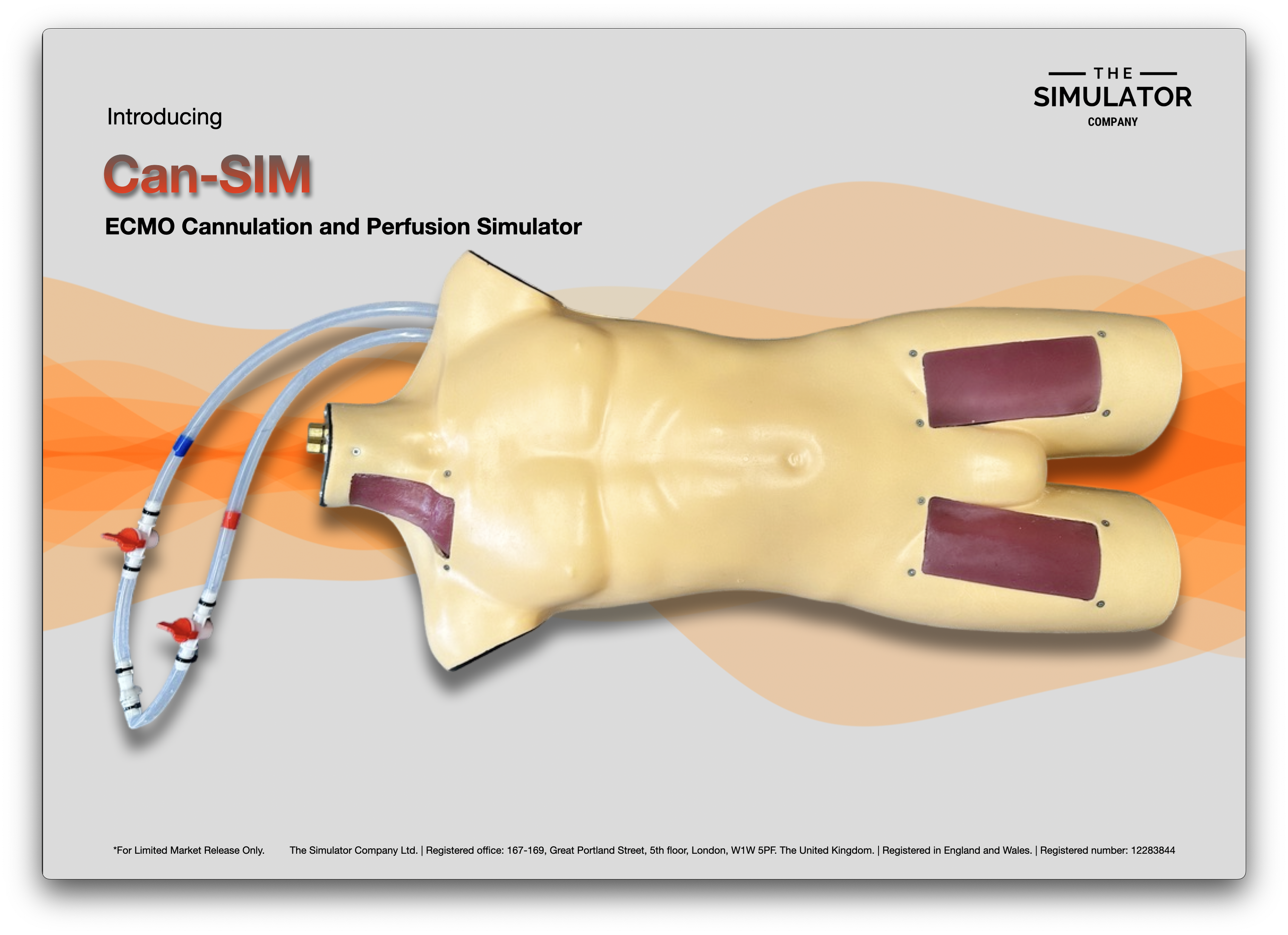 CAN-SIM