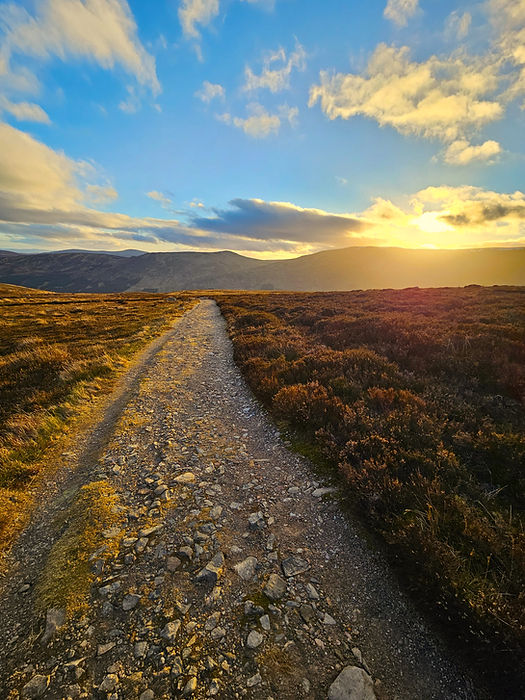 loch brandy path warm.jpg