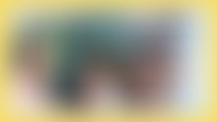 Educação ambiental e biodiversidade na escola