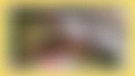 Competição ou cooperação? Como incentivar a colaboração na educação ambiental