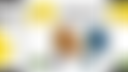 Jogo das árvores - Pokemon go!