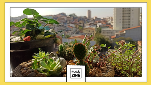 Biodiversidade na cidade