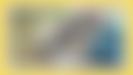 Educação ambiental para a conservação da biodiversidade