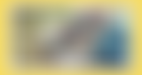 Educação ambiental para a conservação da biodiversidade