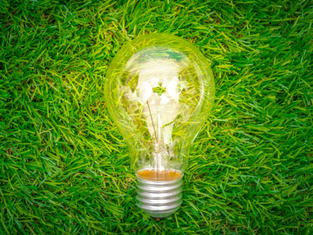 VERS UN V4 VERT ? LE GROUPE DE VISEGRAD A LA CROISEE DES CHEMINS VIS-A-VIS DE LA TRANSITION VERTE.