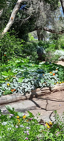 1000042464 - Copy_edited.jpg