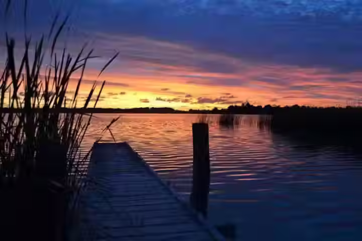 Seeds of wellbeing: A creative weekend retreat by the lake