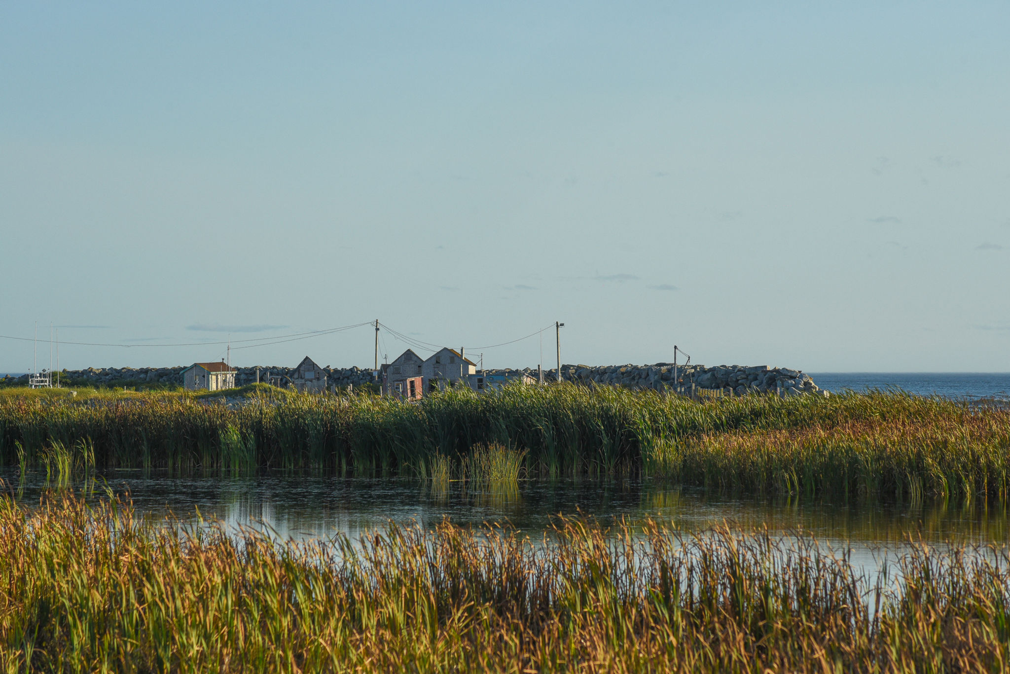 Peace in the Sea Grass
