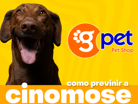 Como previnir a Cinomose canina?
