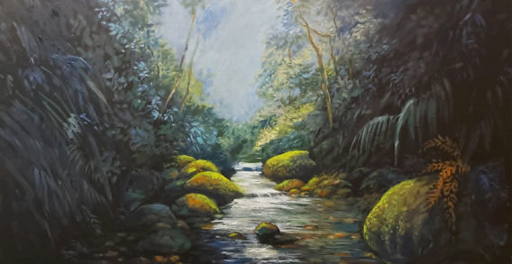 dark, light, creek, rocks, moss, forest, gold coast, queensland, hinterland, tropical