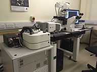 A confocal laser scanning microscope