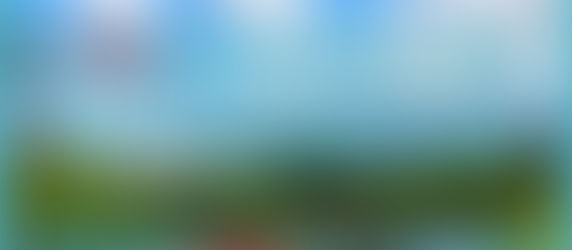 8月11日(日)の予約状況です🏌️♀️