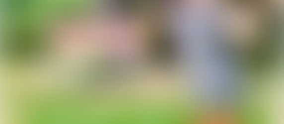 準会員キャンペーンのお知らせ✨