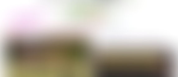 バリューゴルフ(1人予約)始めました⛳