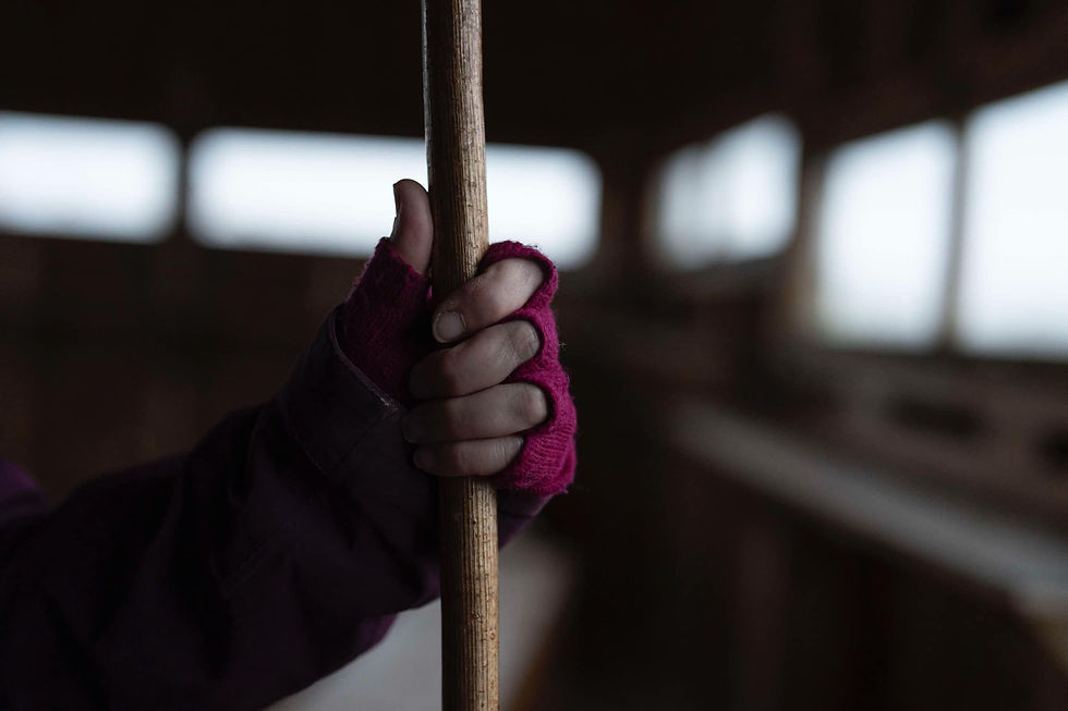 A hand holding a walking stick