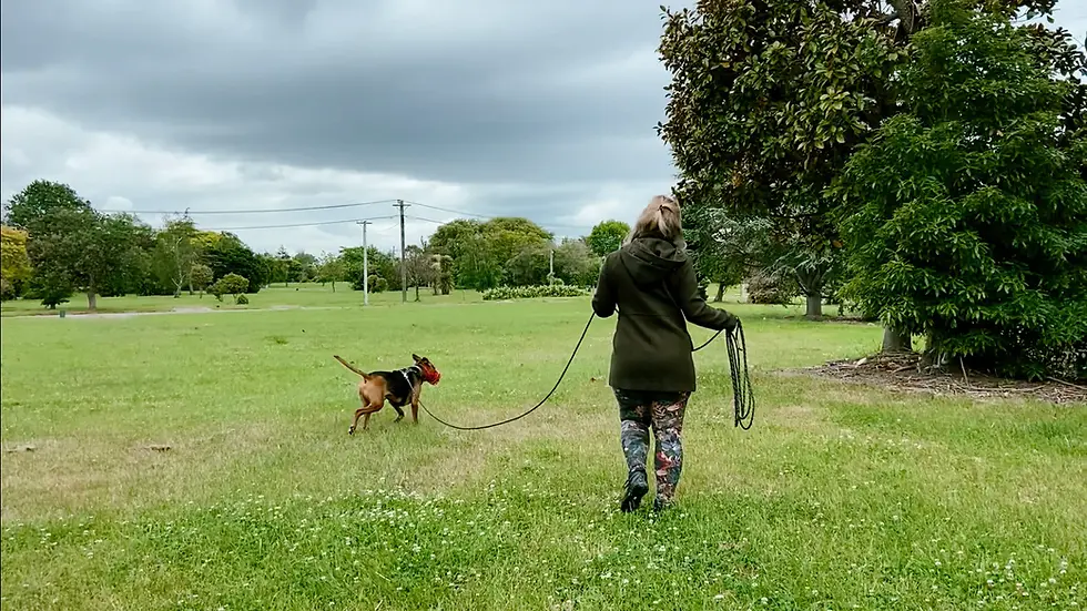 Waarom huisdieren goed zijn voor je mentale gezondheid: De wetenschap erachter