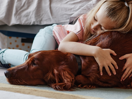 Kind knuffelt met een hond, beeld bij het BEPEFA Huisdierenonderzoek 2026 over huisdieren in België