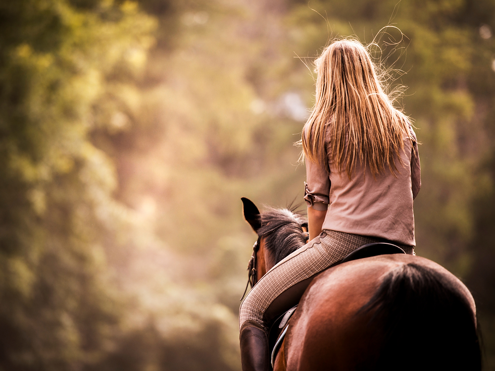 Paardentherapie en zelfontwikkeling: De helende kracht van Equine-Assisted Psychotherapy (EAP)